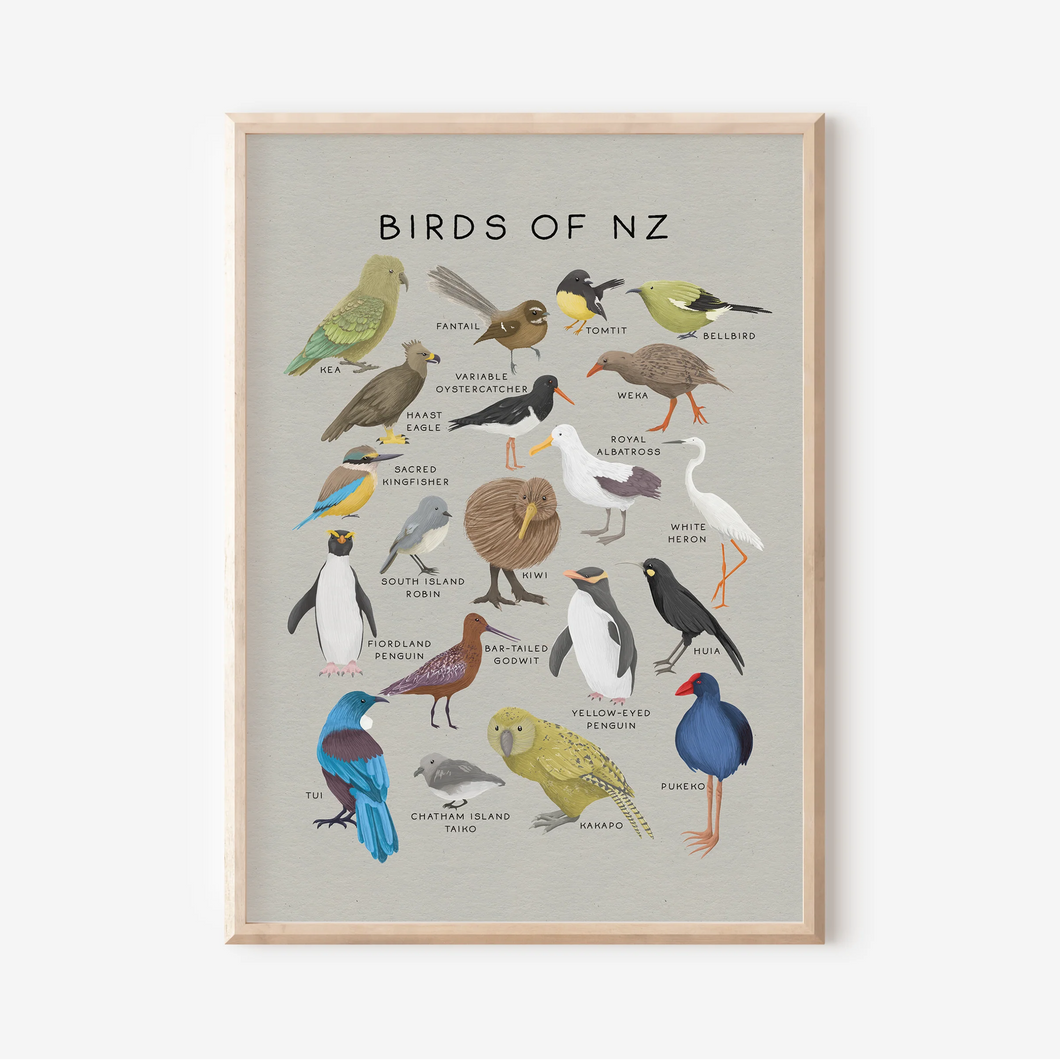 Birds of New Zealand | Art Print